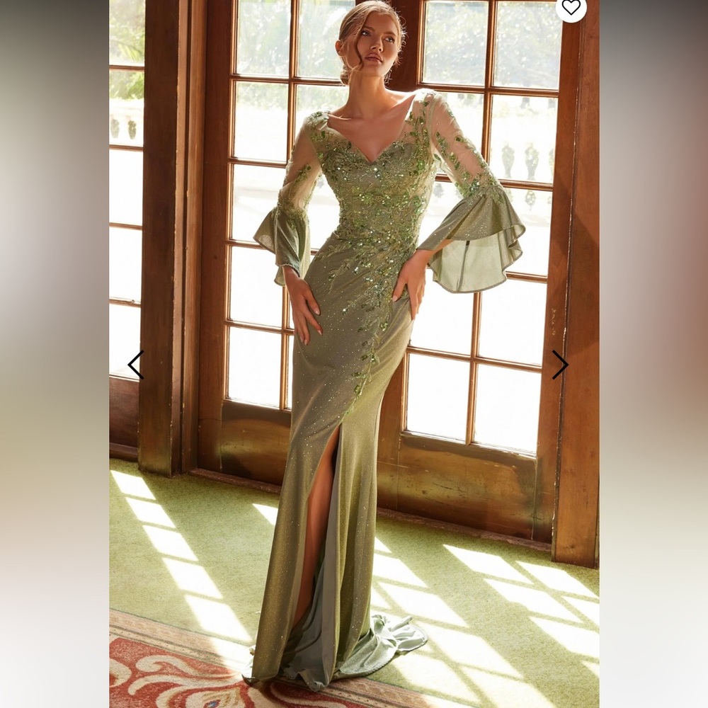 Chic Long Sleeve Green Dress mother of the bride